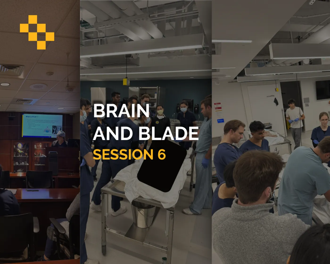 Brain and Blade Session 6 educational session